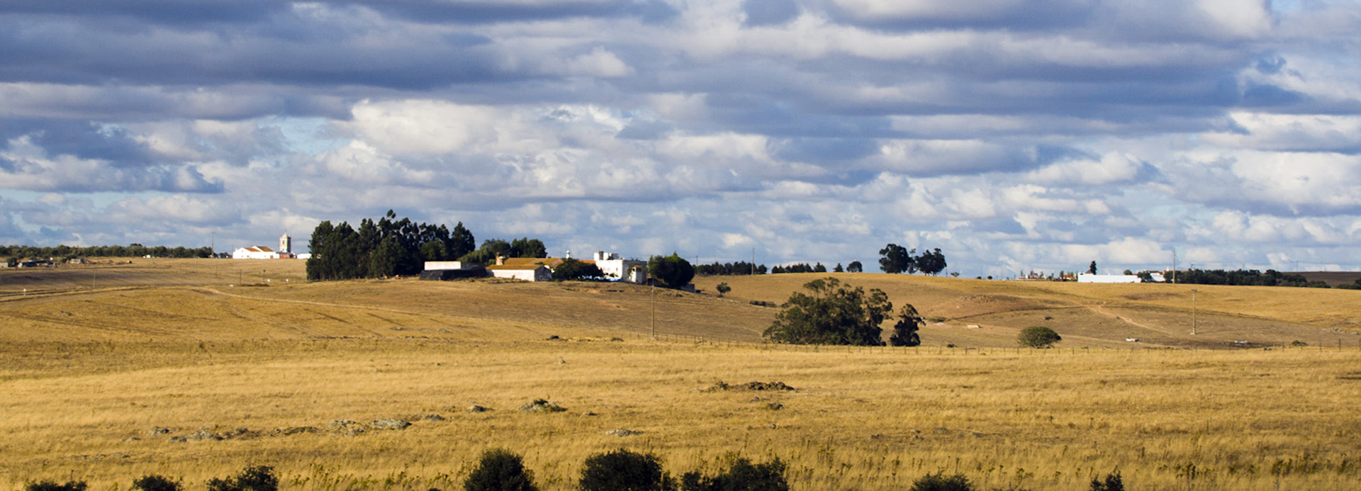 Desirable Portugal Tours