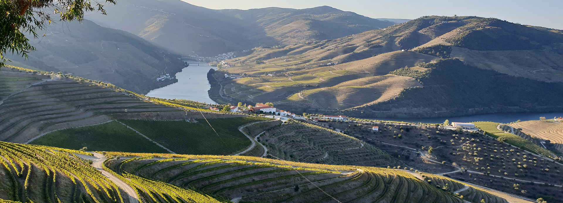 Desirable Portugal Tours