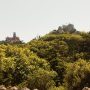 SNT_Pena_006a